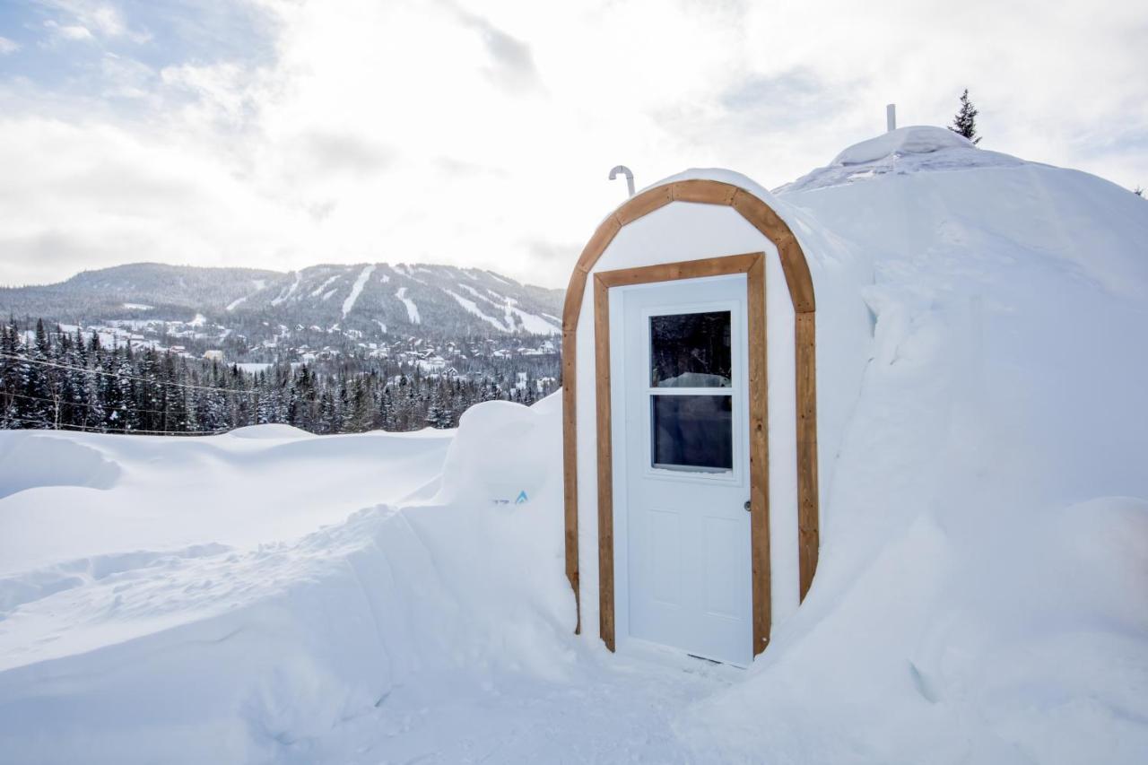 Imago Village Saint-David-de-Falardeau 외부 사진