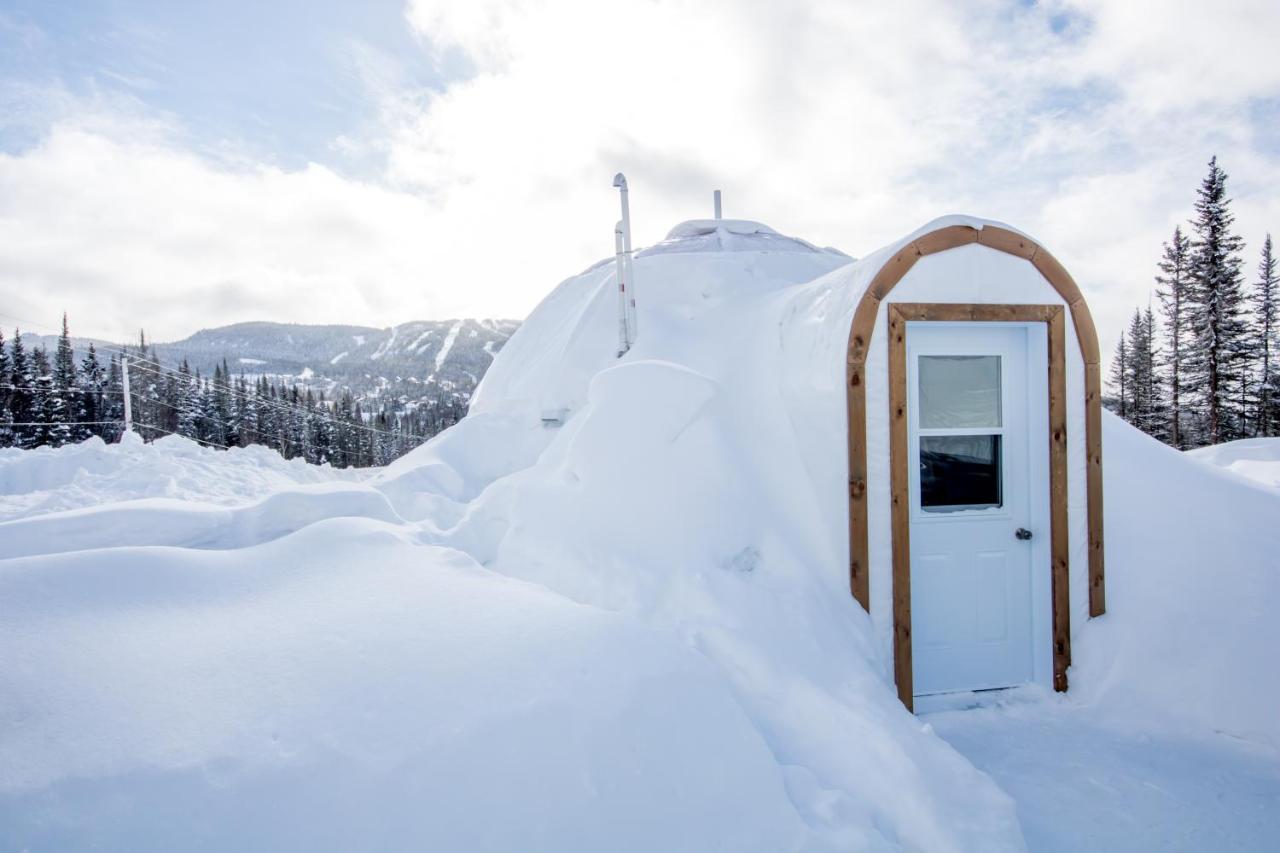 Imago Village Saint-David-de-Falardeau 외부 사진